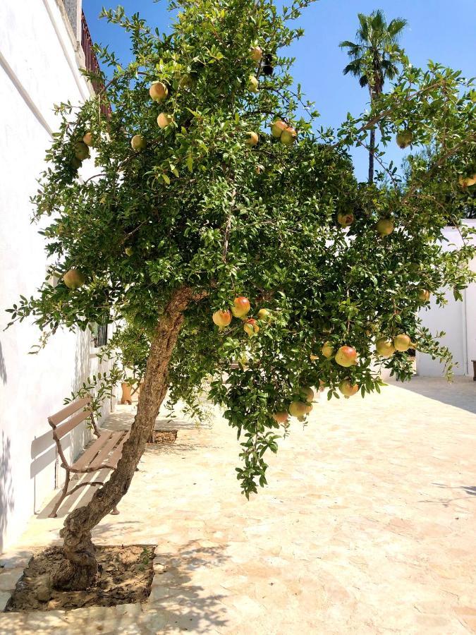 Masseria Villa Gioia Corato Exterior foto